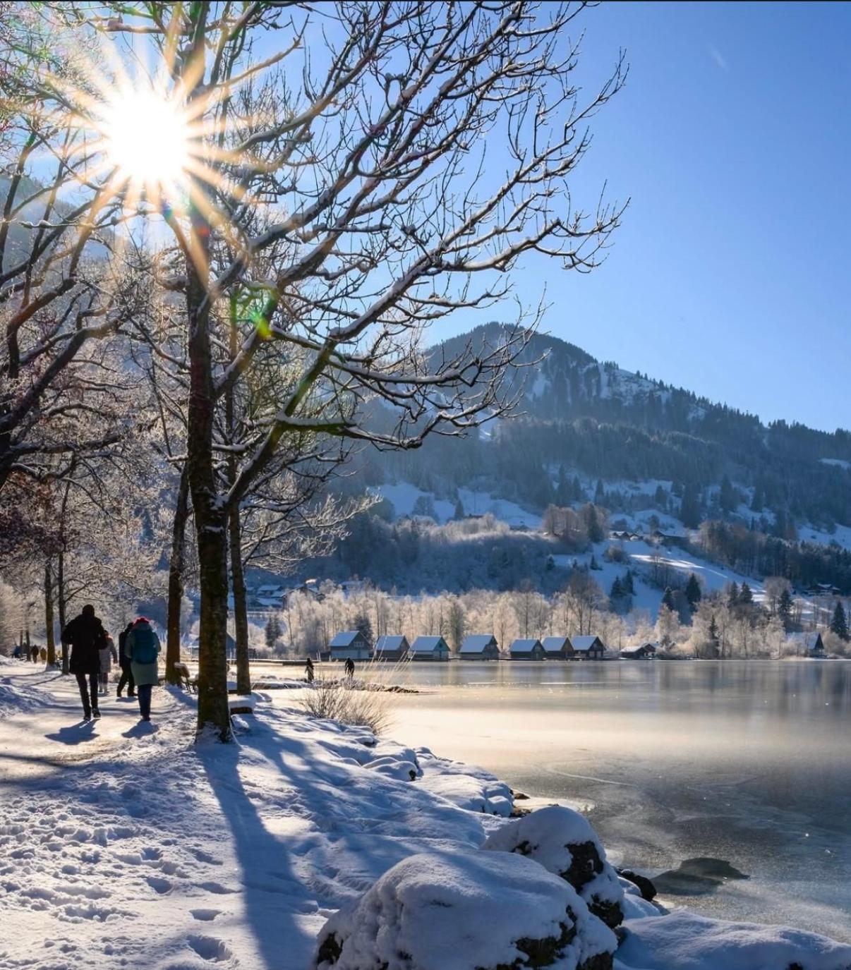 Gemuetliche Ferienwohnung Mit Berg Und Alpsee Panorama Im Allgaeu Immenstadt im Allgäu Eksteriør billede
